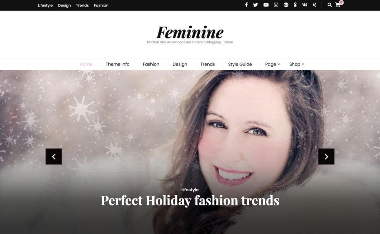 Blossom Feminine - Free Responsive WordPress Theme
