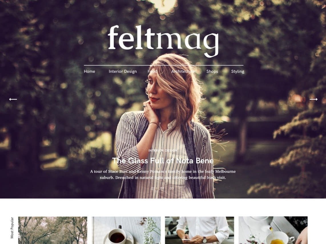 Felt Free responsive WordPress theme